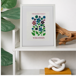 Wisconsin Wood Violet - State Flower Collection