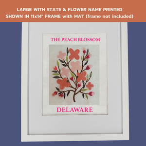 Delaware Peach Blossom - State Flower Collection