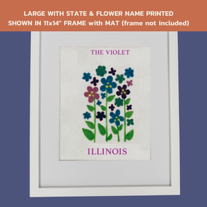 Illinois Wood Violet - State Flower Collection