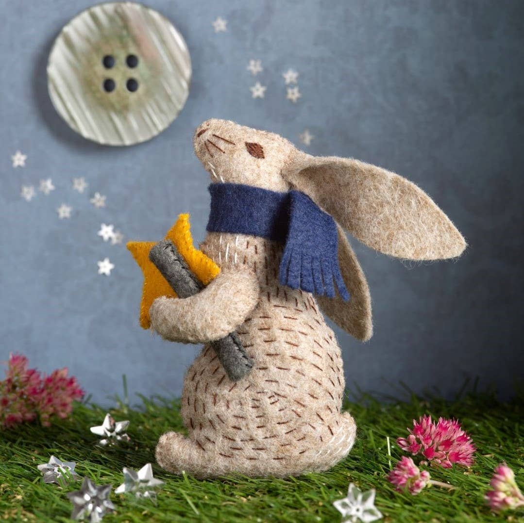 Prof Hare Stargazer Felt Craft Mini Kit