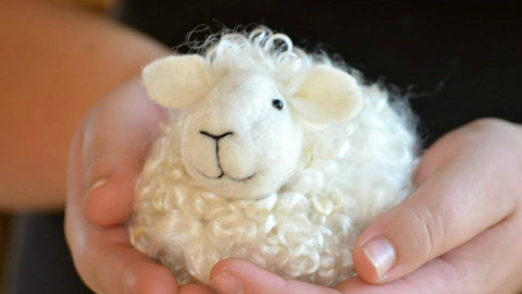 Sheep Needle Felting Kit - White