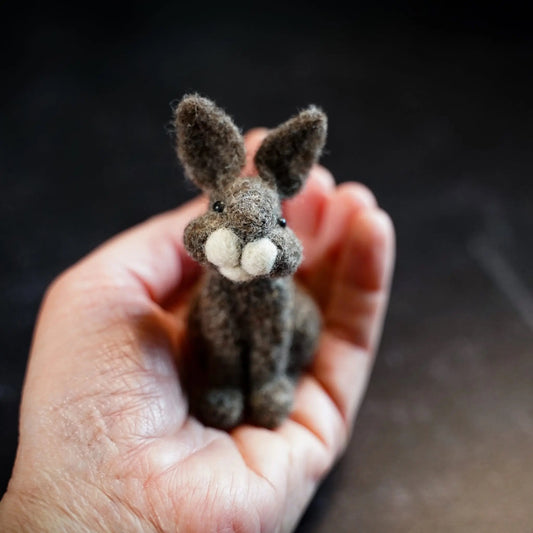 Bunny Needle Felting Kit