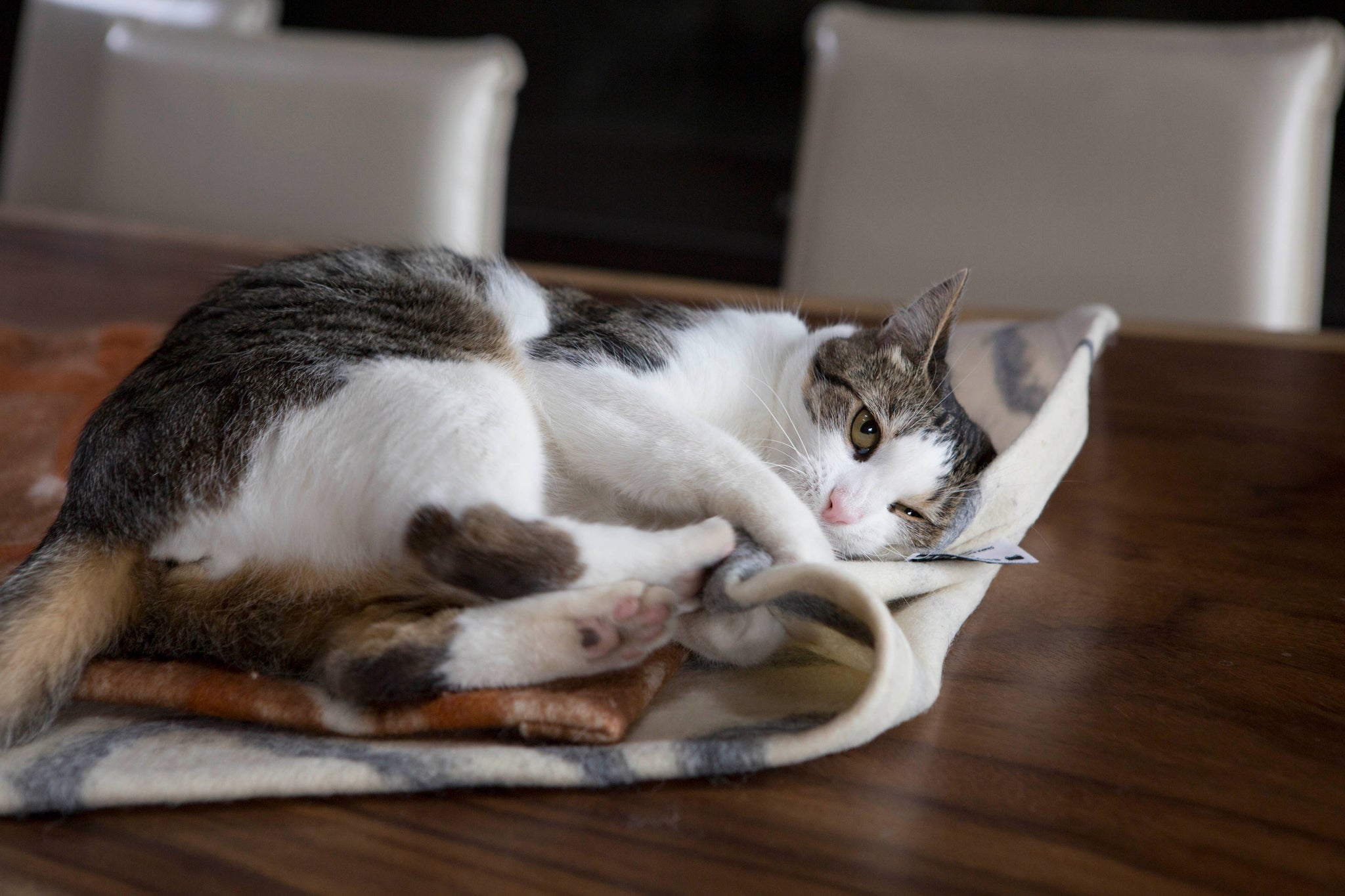 100+ Wool Cat Mat from JG Switzer Heritage Collection
