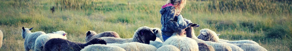 Black Sheep Needle Felting Kit